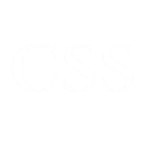 CSS icon